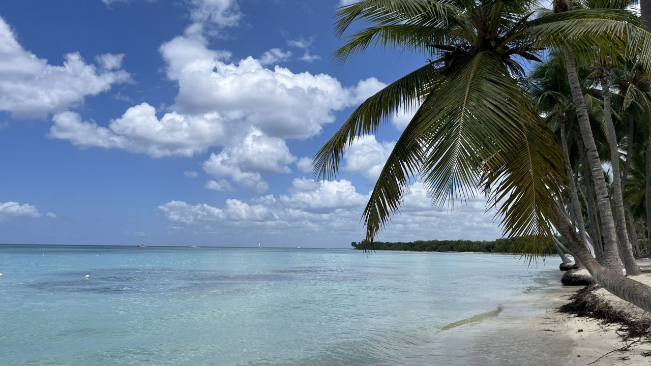 The Last Natural Beaches: From the Mediterranean to the Caribbean