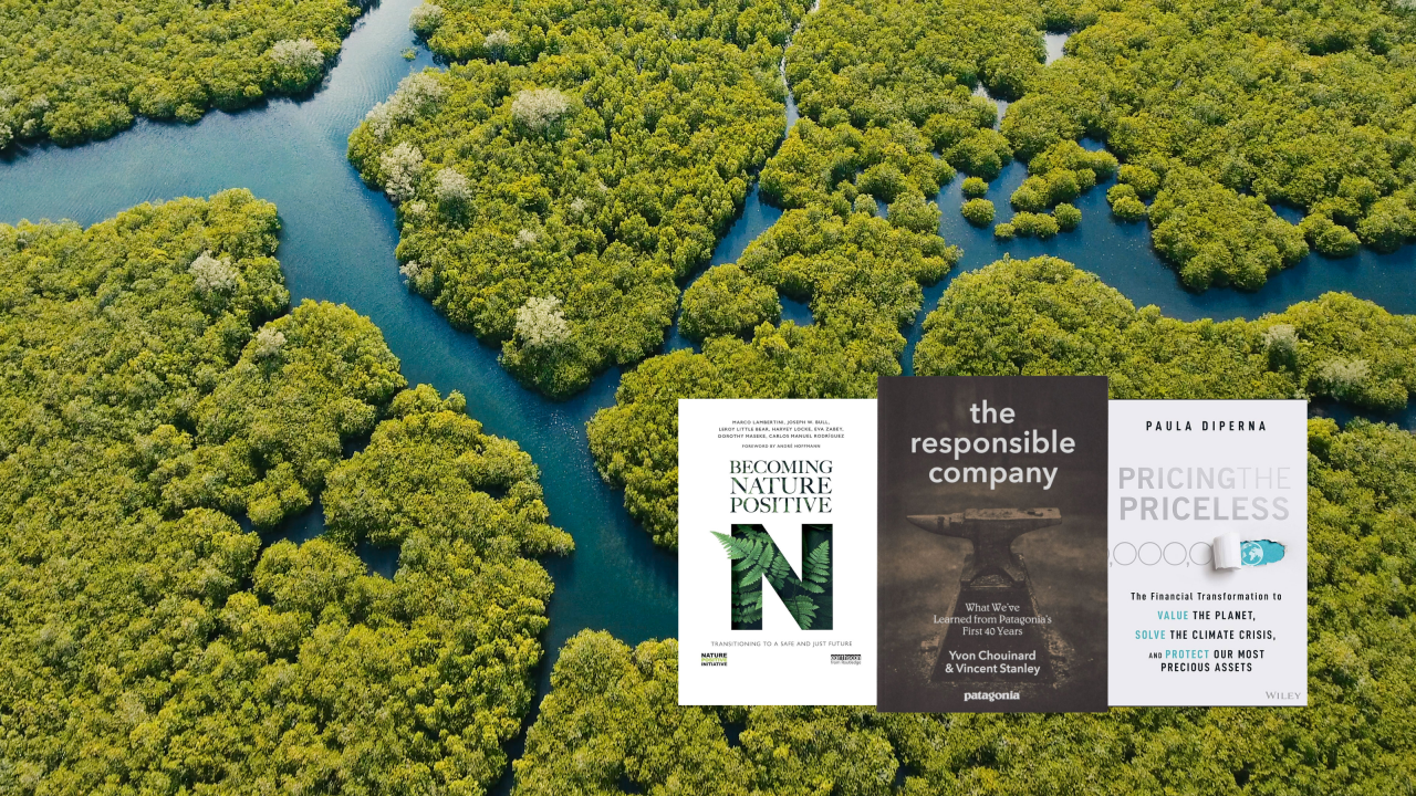 The 5 essential shifts to build a nature-positive organization