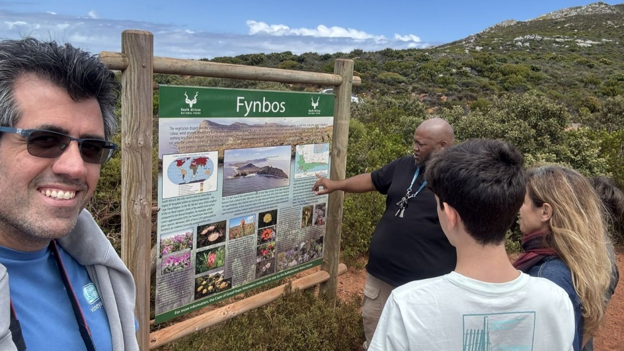 Cape Town to Dubai: The nature of livable cities