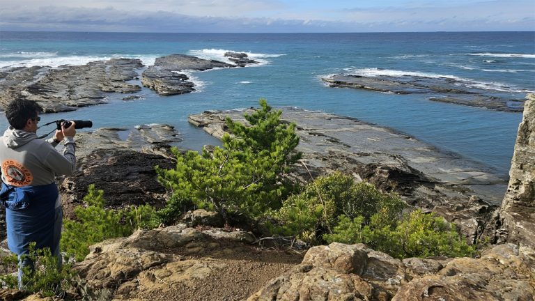 1774873814888 1280x720