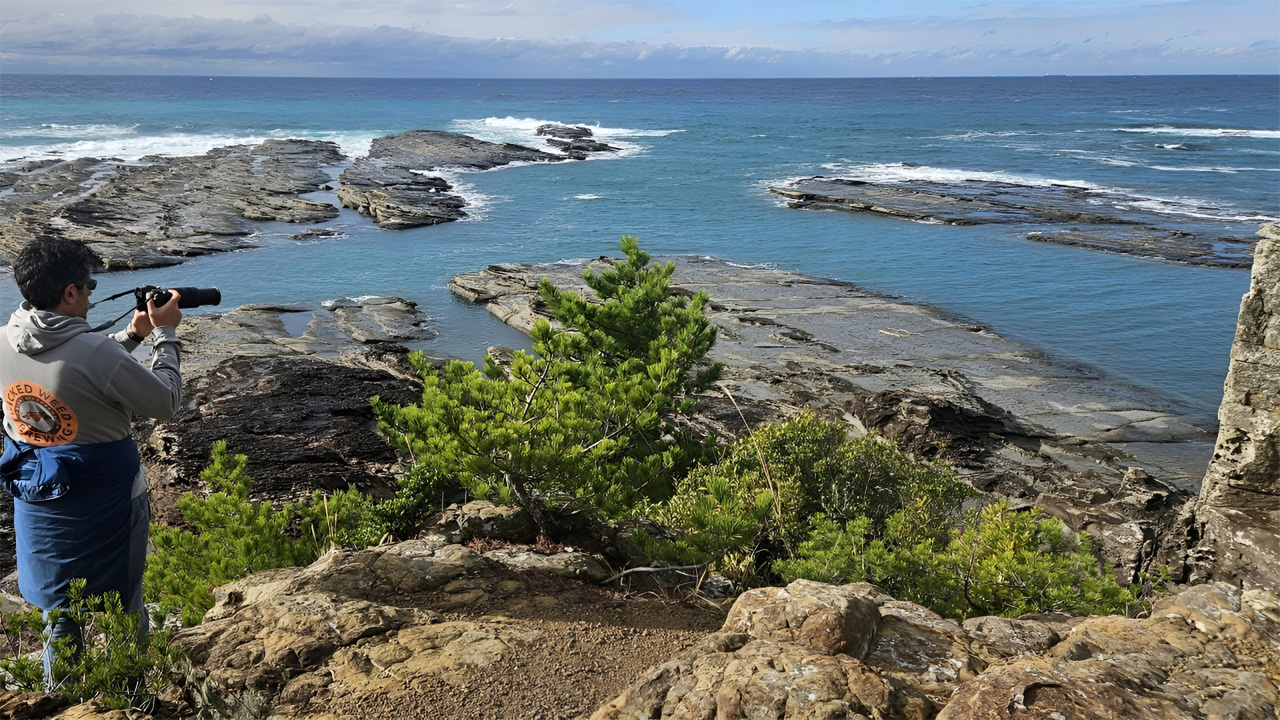 Innovation as a positive-sum game with nature